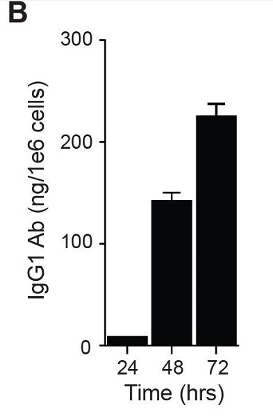 ELISA - Mouse monoclonal [2C11] Anti-Human IgG1 Fc (AB1927), expandable thumbnail
