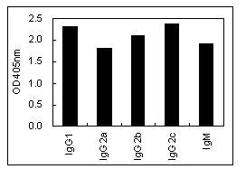 ELISA - Mouse monoclonal [KT100] Anti-Rat IgG+IgM light chain (HRP) (AB106762)
