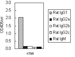 ELISA - Mouse monoclonal [KT96] Anti-Rat IgG1 H&L (HRP) (AB106753)