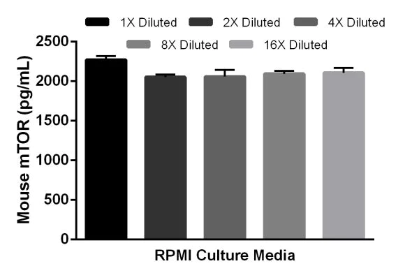 Sandwich ELISA - Mouse mTOR ELISA Kit (AB206311)