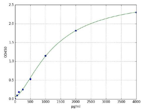 Sandwich ELISA - Mouse Myeloperoxidase ELISA Kit (AB285307), expandable thumbnail