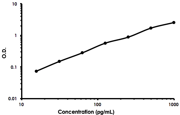 Sandwich ELISA - Mouse Neurotrophin-3 ELISA Kit (AB213882)