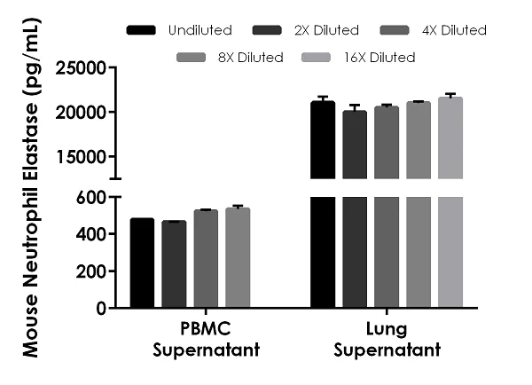 Sandwich ELISA - Mouse Neutrophil Elastase ELISA Kit (AB252356)