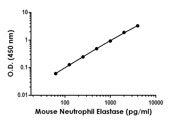 Sandwich ELISA - Mouse Neutrophil Elastase ELISA Kit (AB252356)