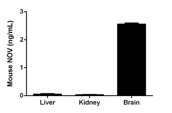 Sandwich ELISA - Mouse NOV ELISA Kit (CCN3) (AB205570)