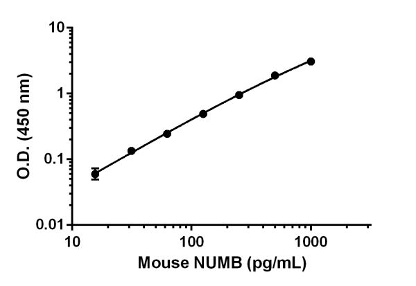 Sandwich ELISA - Mouse NUMB Antibody Pair - BSA and Azide free (AB241783), expandable thumbnail