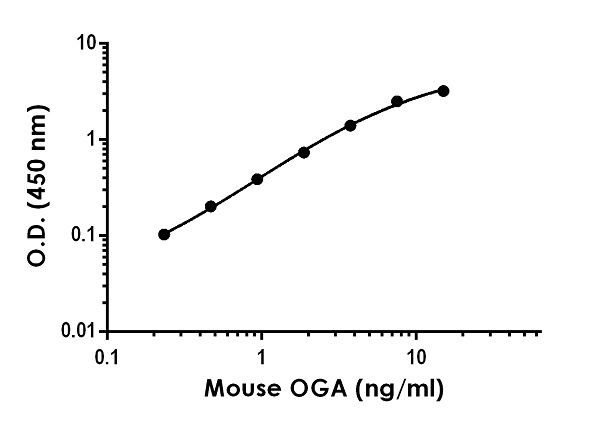Sandwich ELISA - Mouse OGA ELISA Kit (AB255726), expandable thumbnail