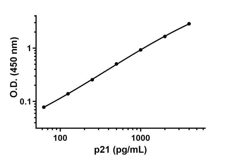 Sandwich ELISA - Mouse p21 ELISA Kit (CDKN1A) (AB205576)