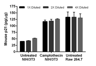 Sandwich ELISA - Mouse p21 ELISA Kit (CDKN1A) (AB205576)