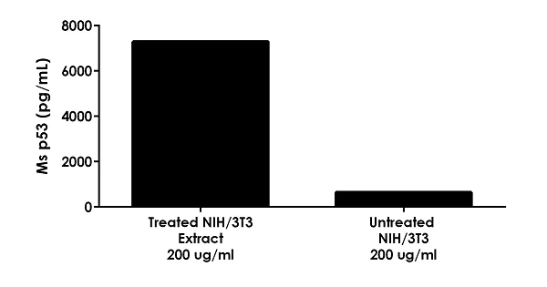 Sandwich ELISA - Mouse p53 ELISA Kit (AB224878)