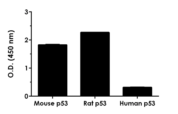 Sandwich ELISA - Mouse p53 ELISA Kit (AB224878)