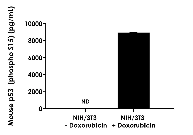 Sandwich ELISA - Mouse p53 (phospho S15) ELISA Kit (AB323698)