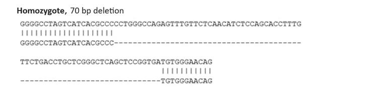 Sanger Sequencing - Mouse PDGFRB knockout NIH3T3 cell line (AB300201)