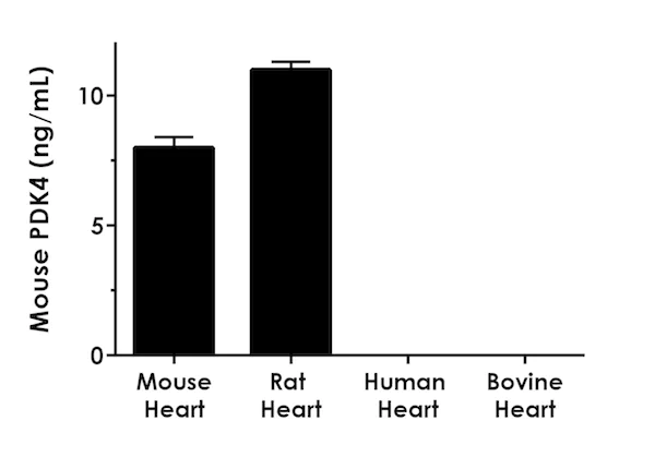 Sandwich ELISA - Mouse PDK4 ELISA Kit (AB215544)