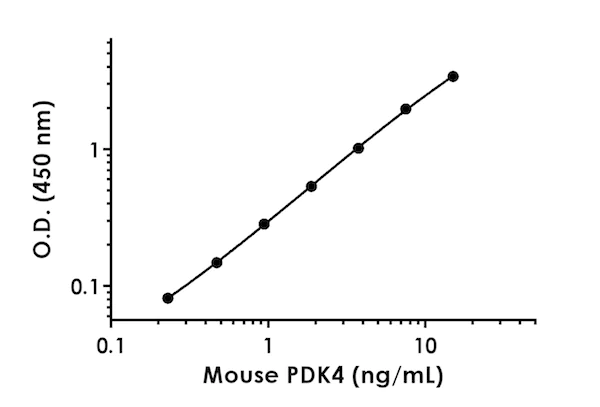 Sandwich ELISA - Mouse PDK4 ELISA Kit (AB215544)