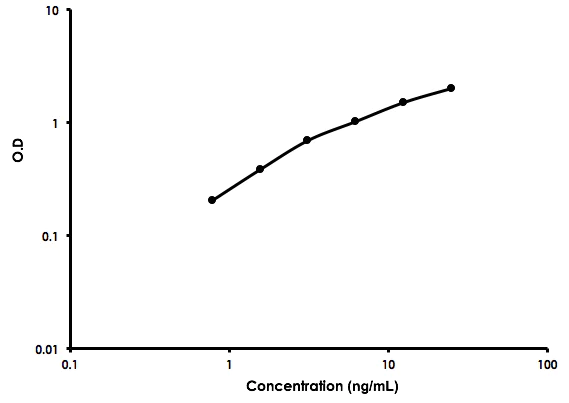 Sandwich ELISA - Mouse PLTP ELISA Kit (AB213883)