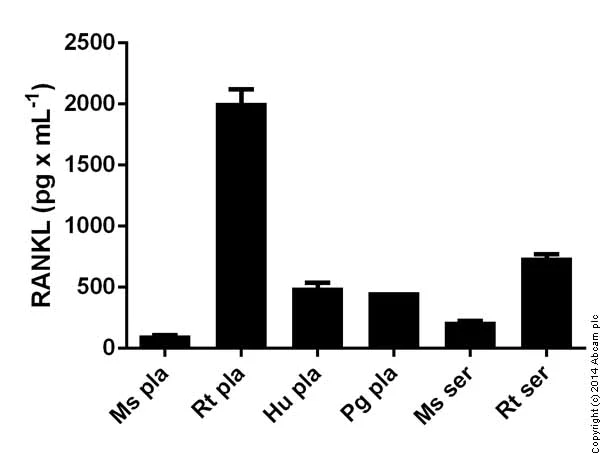 Sandwich ELISA - Mouse RANKL ELISA Kit (TNFSF11) (AB100749)