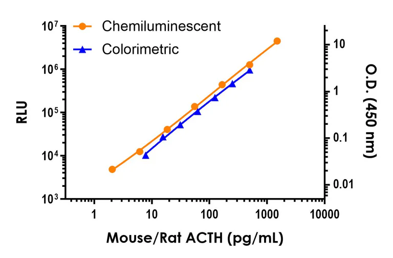 Sandwich ELISA - Mouse/Rat ACTH (Adrenocorticotropic Hormone) ELISA Kit, Chemiluminescent (AB325629)
