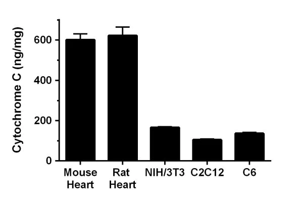 Sandwich ELISA - Mouse/Rat Cytochrome C ELISA Kit (AB210575)