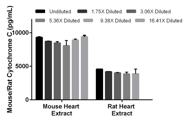 Sandwich ELISA - Mouse/Rat Cytochrome C ELISA Kit (AB210575)