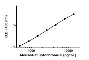 Sandwich ELISA - Mouse/Rat Cytochrome C ELISA Kit (AB210575), expandable thumbnail