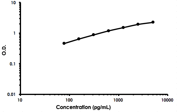 Sandwich ELISA - Mouse Relaxin 1 ELISA Kit (AB213885)