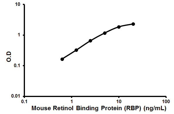 Sandwich ELISA - Mouse Retinol Binding Protein ELISA Kit (RBP) (AB190535)