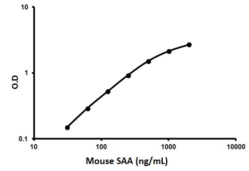 Sandwich ELISA - Mouse SAA ELISA Kit (AB157723)