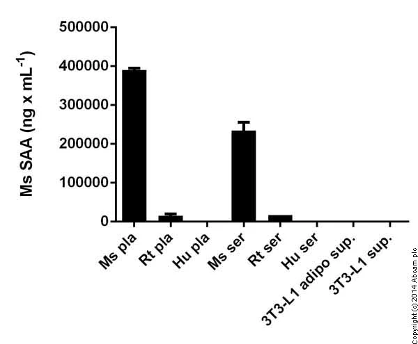 Sandwich ELISA - Mouse SAA ELISA Kit (AB157723)
