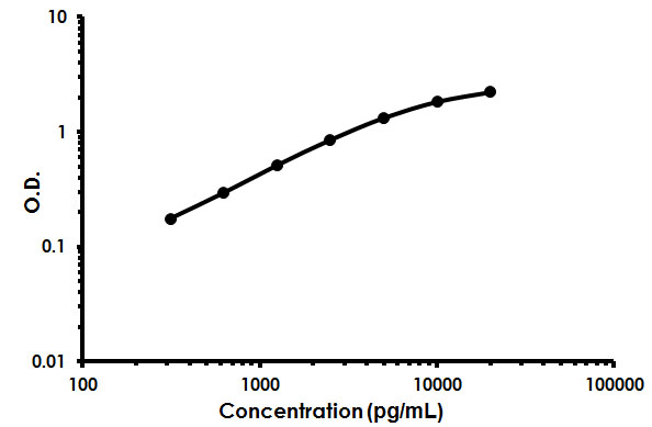 Sandwich ELISA - Mouse Surfactant protein D / SP-D ELISA Kit (AB213890)