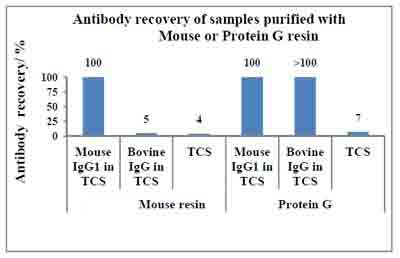 Functional Studies - Mouse TCS Antibody Purification Kit (AB128749), expandable thumbnail