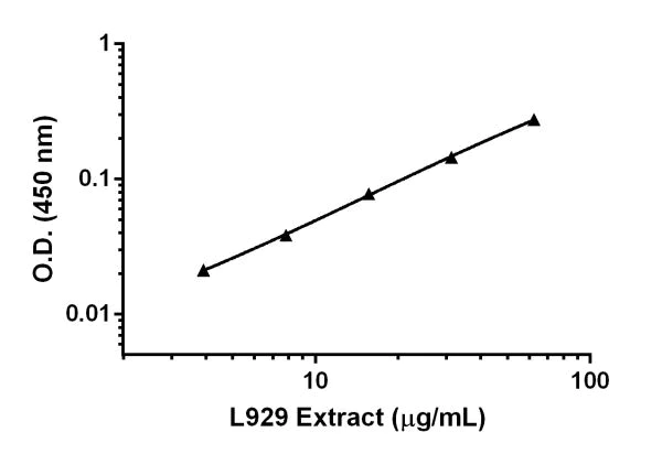 Sandwich ELISA - Mouse TIMP1 ELISA Kit (AB196265)