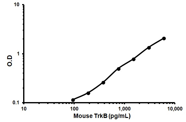 Sandwich ELISA - Mouse TrkB ELISA Kit (AB119610)