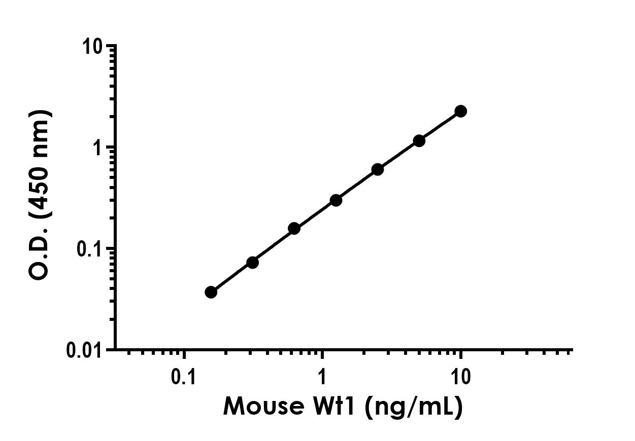 Sandwich ELISA - Mouse Wt1 Antibody Pair - BSA and Azide free (AB253623), expandable thumbnail