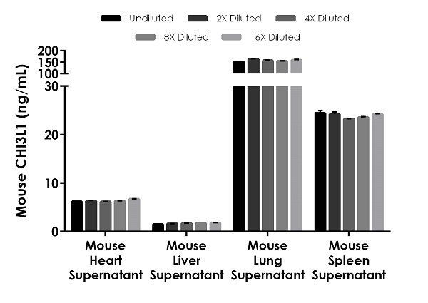 Sandwich ELISA - Mouse YKL-40 / CHI3L1 ELISA Kit (AB238262), expandable thumbnail