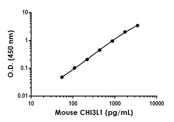 Sandwich ELISA - Mouse YKL-40 / CHI3L1 ELISA Kit (AB238262), expandable thumbnail