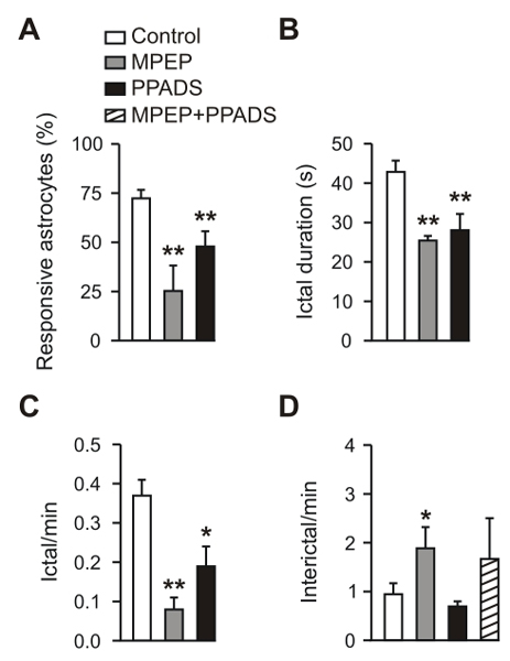 Functional Studies - MPEP hydrochloride, mGlu5 antagonist (AB120008), expandable thumbnail