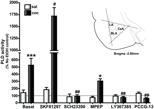 Functional Studies - MPEP hydrochloride, mGlu5 antagonist (AB120008), expandable thumbnail