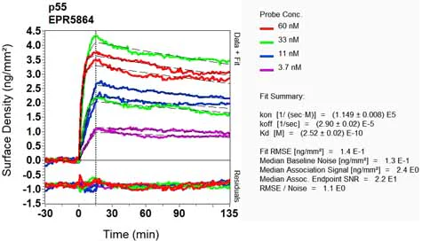 OI-RD Scanning - Anti-MPP1 antibody [EPR5864] (AB133500)