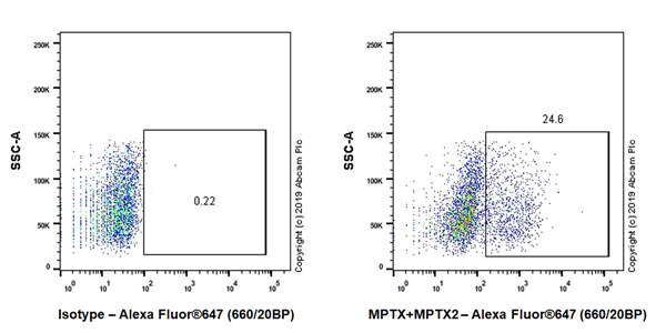 Flow Cytometry (Intracellular) - Anti-MPTX+MPTX2 antibody [EPR20920-19] - BSA and Azide free (AB269857)