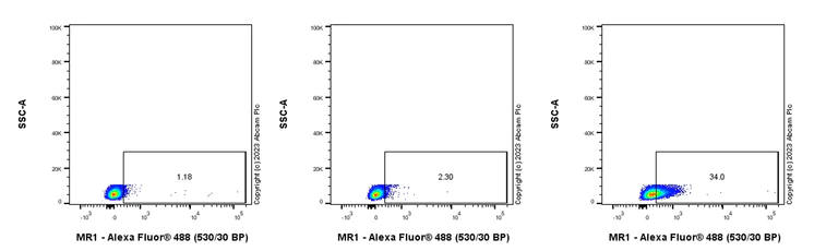 Flow Cytometry - Anti-MR1 antibody [EPR25671-79] - BSA and Azide free (AB308503)