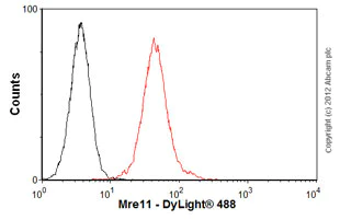 Flow Cytometry - Anti-Mre11 antibody [12D7] - BSA and Azide free (AB214)