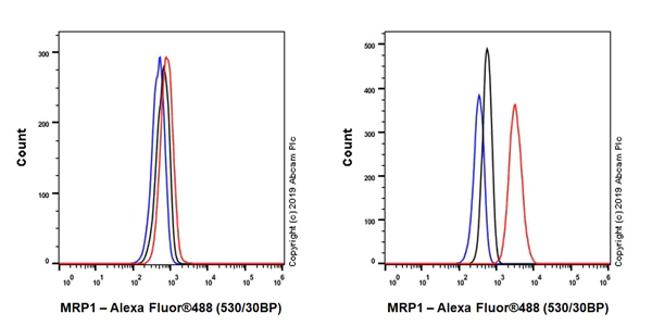 Flow Cytometry (Intracellular) - Anti-MRP1 antibody [EPR22841-78] (AB260038)