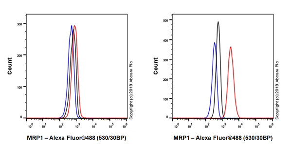 Flow Cytometry (Intracellular) - Anti-MRP1 antibody [EPR22841-78] - BSA and Azide free (AB263865)