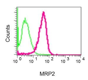 Flow Cytometry (Intracellular) - Anti-MRP2 antibody [EPR10998] - BSA and Azide free (AB240169)