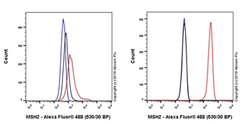 Flow Cytometry (Intracellular) - Anti-MSH2 antibody [EPR21017-2] (AB212188)