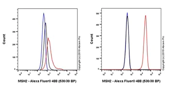 Flow Cytometry (Intracellular) - Anti-MSH2 antibody [EPR21017-2] (AB212188)