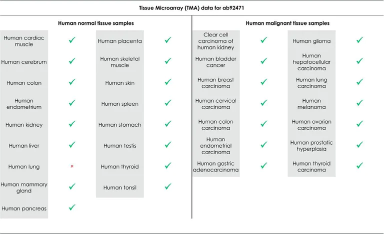 Immunohistochemistry (Formalin/PFA-fixed paraffin-embedded sections) - Anti-MSH6 antibody [EPR3945] (AB92471)