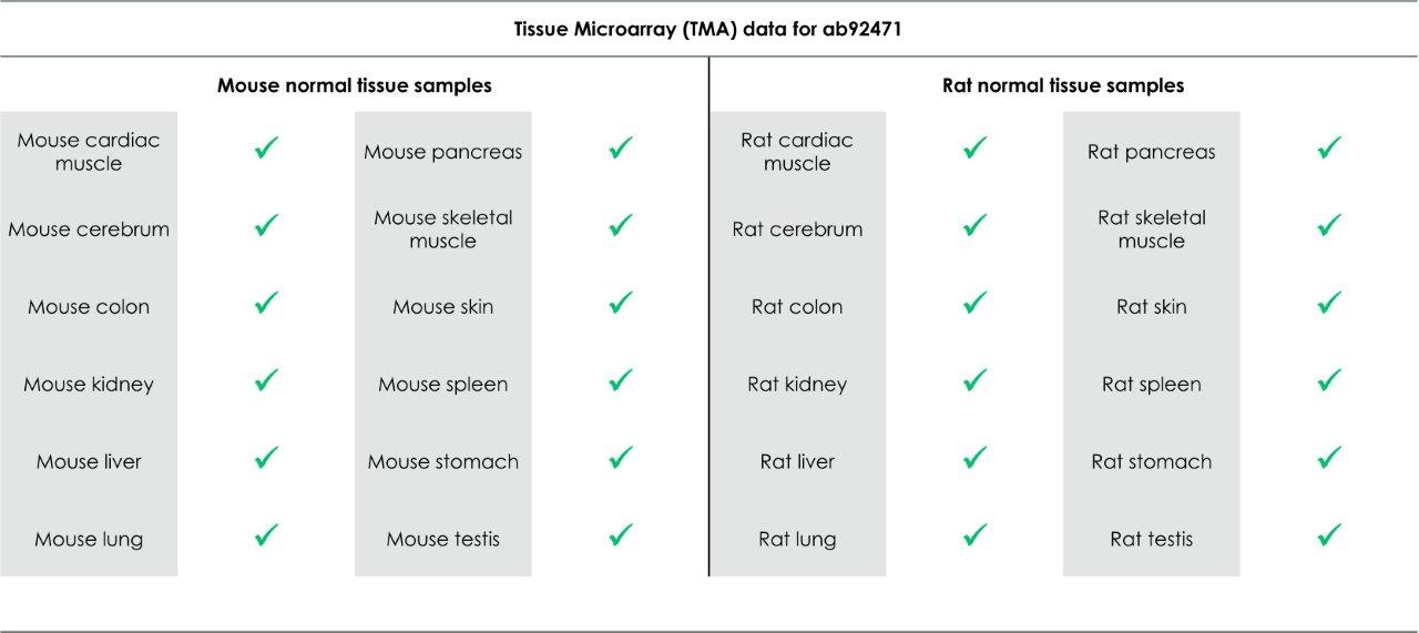 Immunohistochemistry (Formalin/PFA-fixed paraffin-embedded sections) - Anti-MSH6 antibody [EPR3945] - BSA and Azide free (ab214454), expandable thumbnail