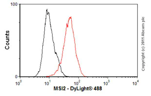 Flow Cytometry (Intracellular) - Anti-MSI2 antibody [EP1305Y] (AB76148)